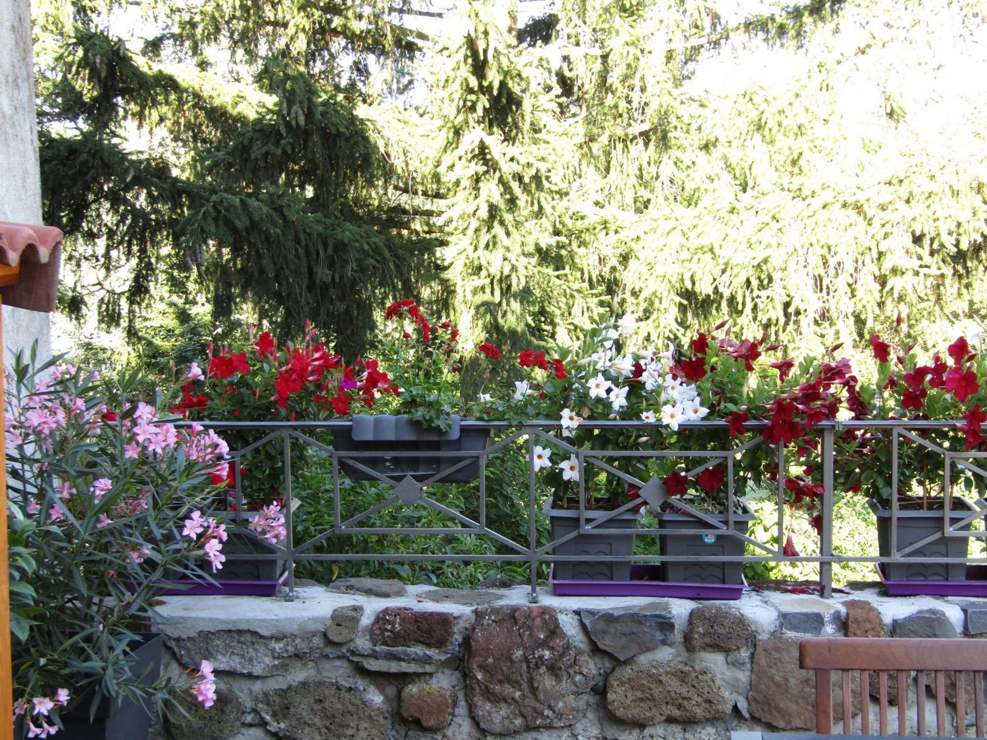 Gîte Saint-Vidal, 4 pièces, 6 personnes - FR-1-582-308 Extérieur photo